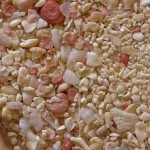 coral-sand