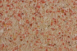 coral-sand2